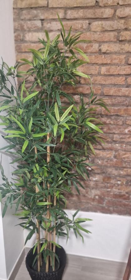 略夫雷加特河畔奥斯皮塔莱特Barcelona,Apartamento Con Terraza公寓 外观 照片